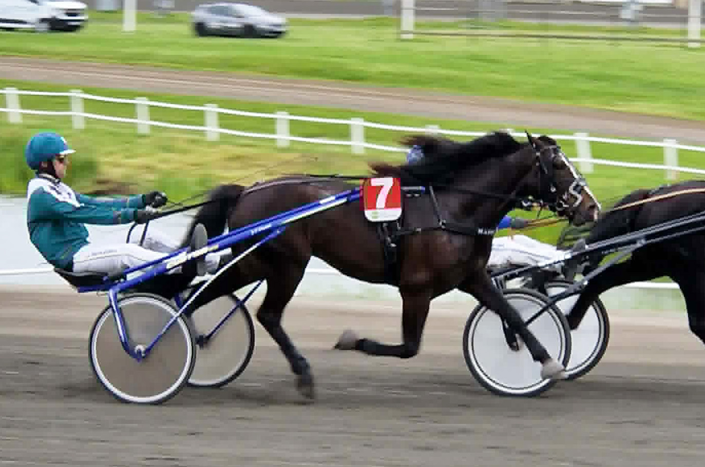 Hade Tur 260626-3